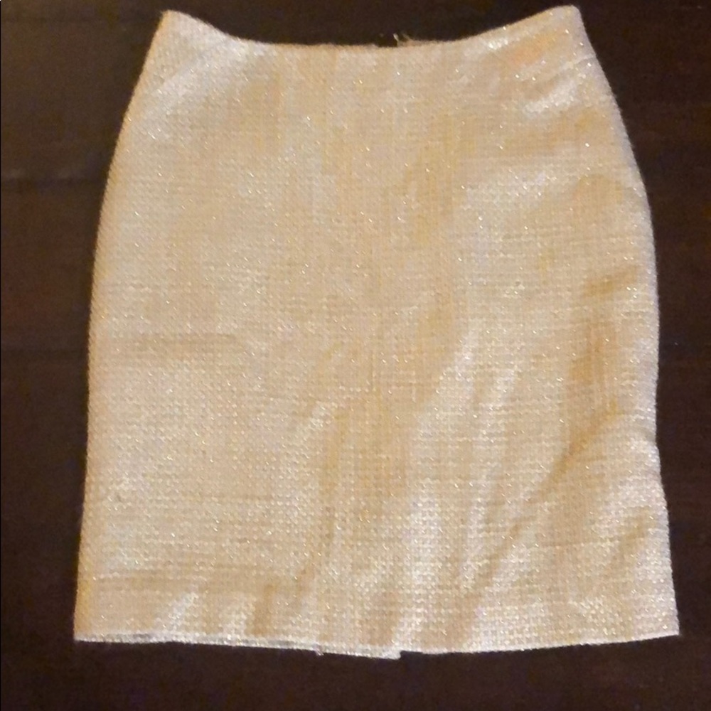 Ann Taylor skirt